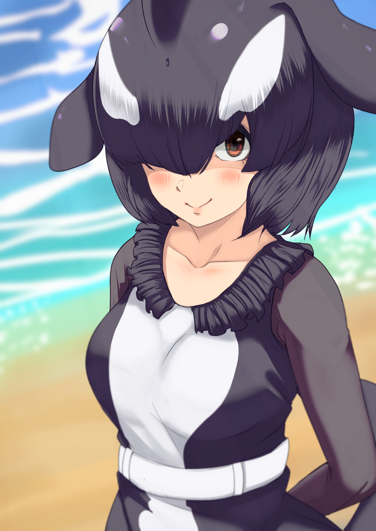 1girl arms_behind_back bangs beach belt black_hair blowhole blush brown_eyes closed_mouth collarbone day dolphin_tail dorsal_fin dress frills gakukuru hair_over_one_eye head_fins kemono_friends long_sleeves looking_at_viewer medium_hair multicolored_hair orca_(kemono_friends) outdoors parted_bangs sand smile solo tail two-tone_hair upper_body water white_hair