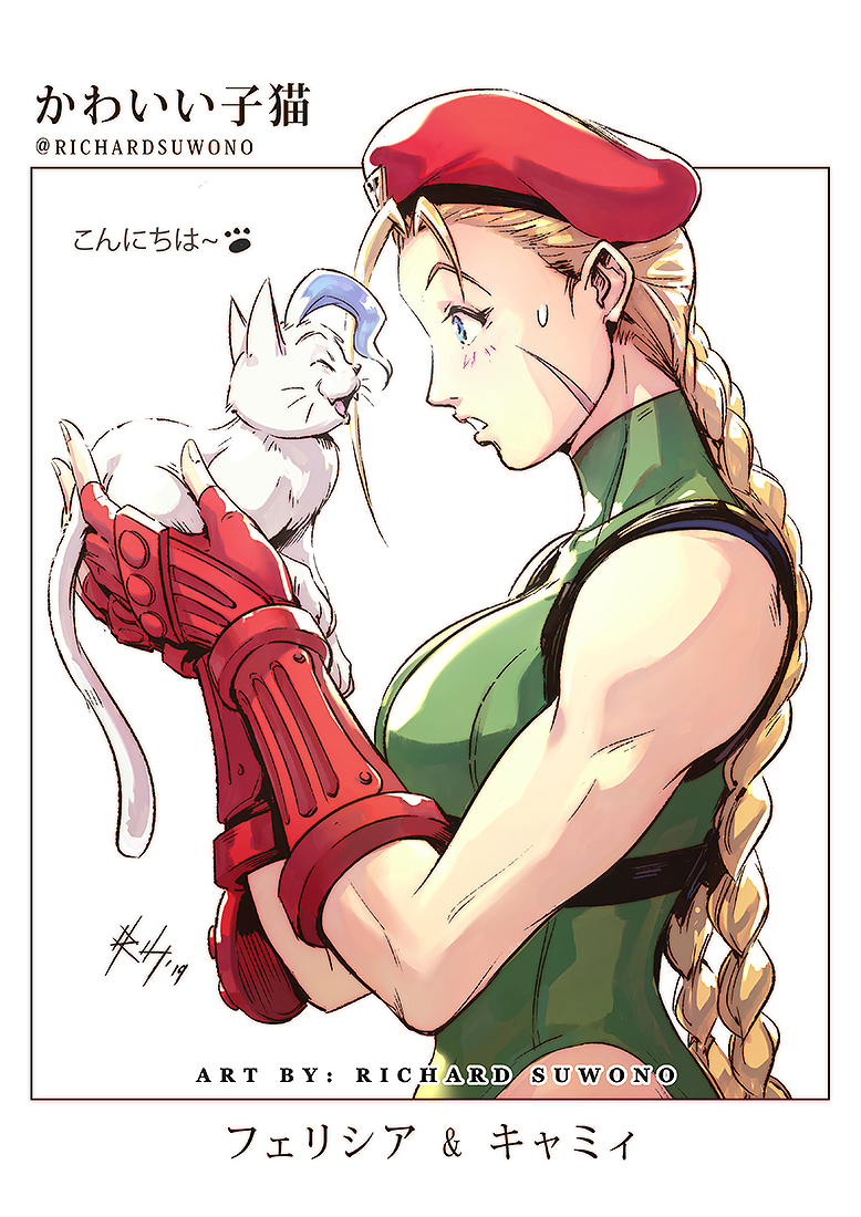 2girls ahoge animal artist_name bare_arms beret blonde_hair blue_eyes braid breasts cammy_white cat cat_girl crossover facial_scar felicia_(vampire) gauntlets gloves green_leotard harness hat holding holding_animal large_breasts leotard light light_blush looking_at_another multiple_girls muscle muscular_female red_gloves richard_suwono scar scar_on_cheek signature smile street_fighter surprised sweat tactical_clothes talking thong_leotard transformation twin_braids vampire_(game) white_background