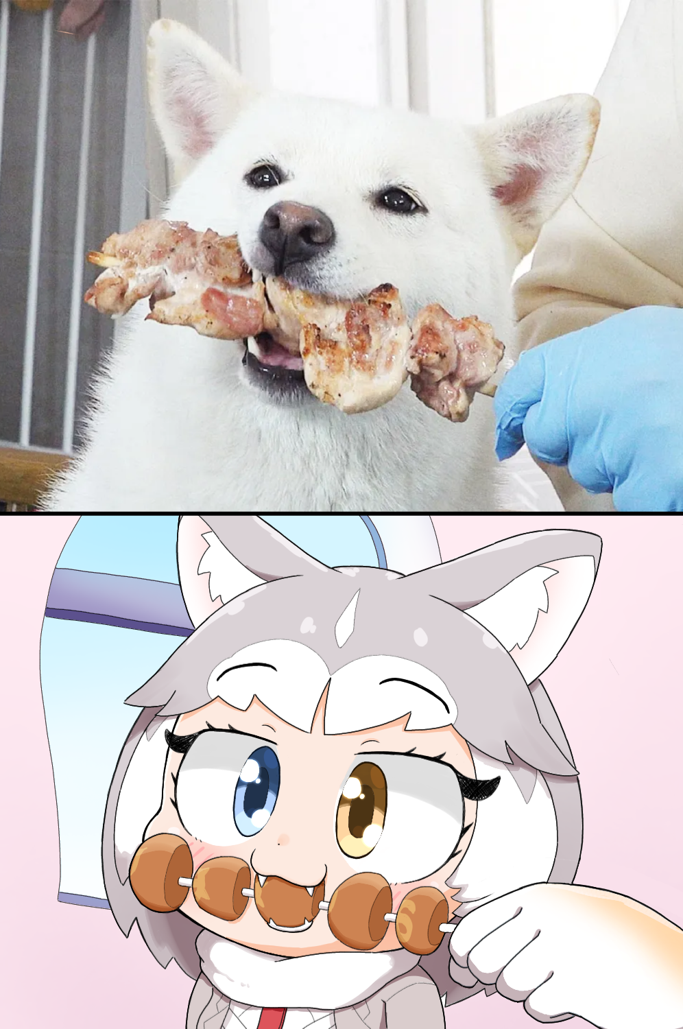 2girls animal_ear_fluff animal_ears blue_eyes commentary_request dog dog_(kemono_friends) dog_(mixed_breed)_(kemono_friends) dog_ears dog_girl eyebrows_visible_through_hair fangs food gloves grey_hair harness heterochromia highres japari_bun kabob kemono_friends meat multicolored_hair multiple_girls nanatidayo photo-referenced solo_focus two-tone_hair white_hair yellow_eyes