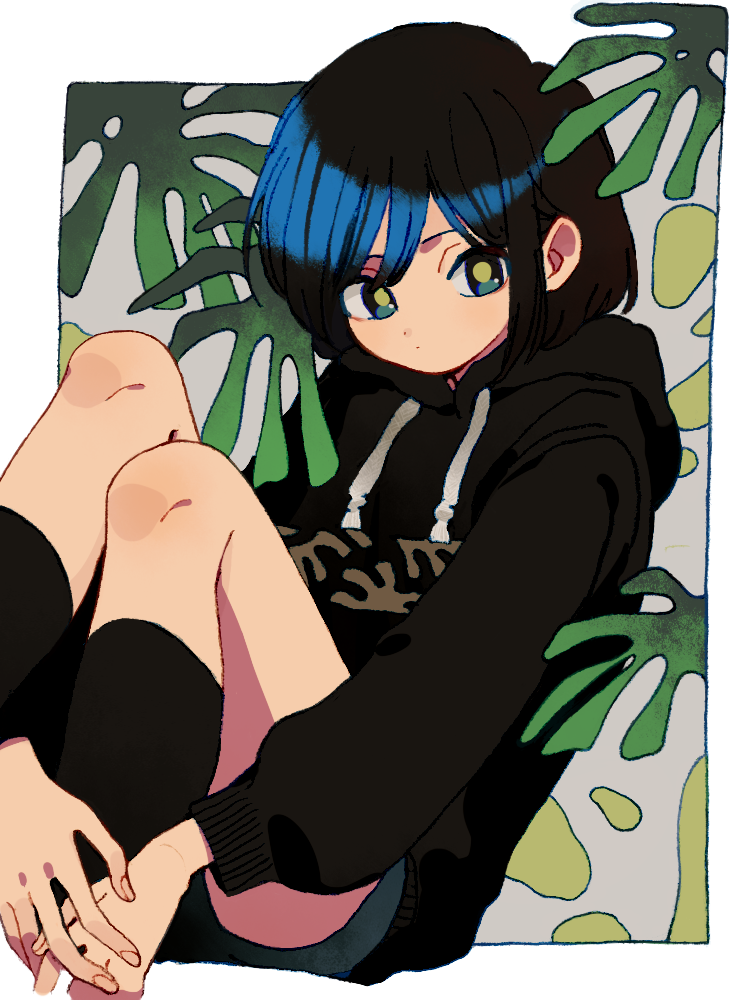 1girl black_hair black_hoodie black_legwear border bright_pupils closed_mouth dot_nose feet_out_of_frame fingernails green_pupils hood hood_down ka_(marukogedago) leaf leg_hug looking_at_viewer original shiny shiny_hair short_hair sitting socks solo white_border