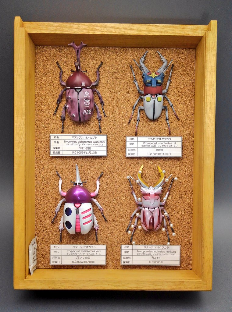 animalization beetle bug character_name display_case gundam gundam_unicorn insect mobile_suit_gundam model_kit no_humans photo pinned qubeley rx-78-2 stag_beetle taiki_(ikj9umhxn88r9q0) unicorn_gundam zaku_ii_s_char_custom zeta_gundam