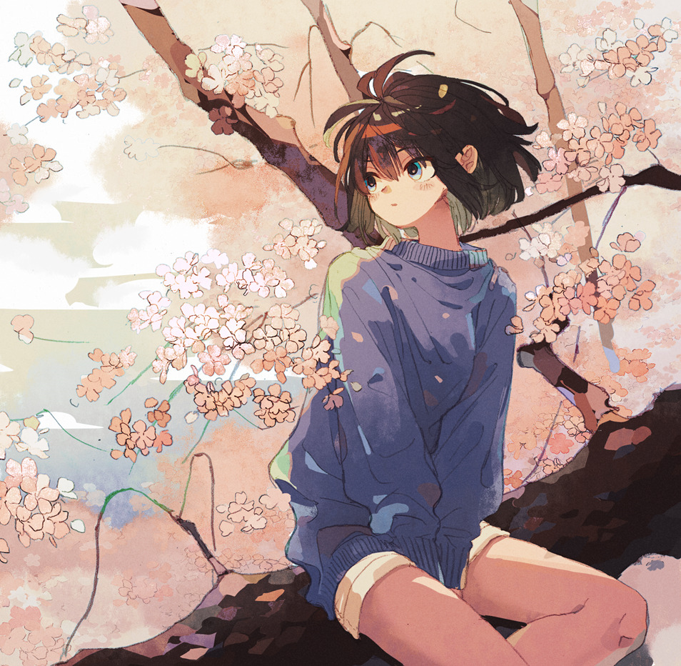 1girl between_legs blue_eyes blue_sweater blush branch brown_hair cherry_blossoms hand_between_legs ka_(marukogedago) looking_to_the_side original parted_lips short_hair shorts sitting solo sweater yellow_shorts