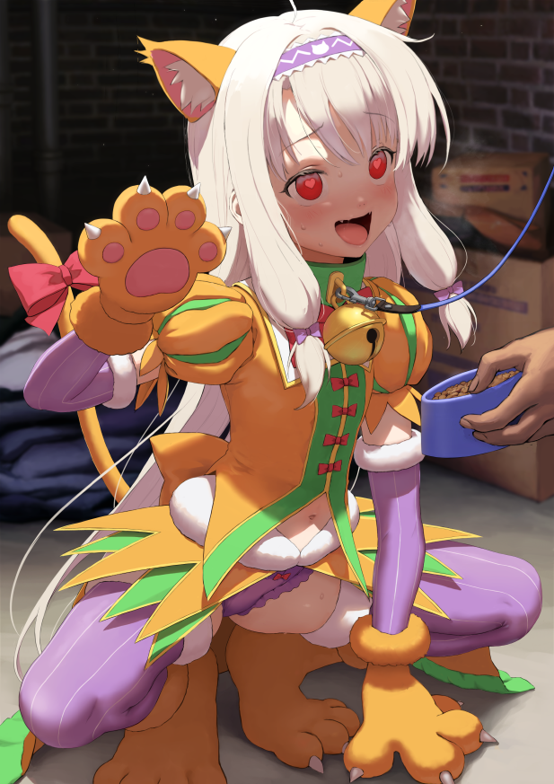 1girl amakuri3000 animal_ears bangs bell bell_collar blush bowl breasts cat_ears cat_tail collar dress fake_animal_ears fate/grand_order fate_(series) gloves hairband heart heart-shaped_pupils heroic_spirit_festival_outfit jingle_bell long_hair navel open_mouth orange_dress paw_gloves paw_shoes paws pet_bowl pet_play purple_hairband purple_legwear red_eyes shoes sidelocks sitonai small_breasts smile squatting symbol-shaped_pupils tail thigh-highs white_hair