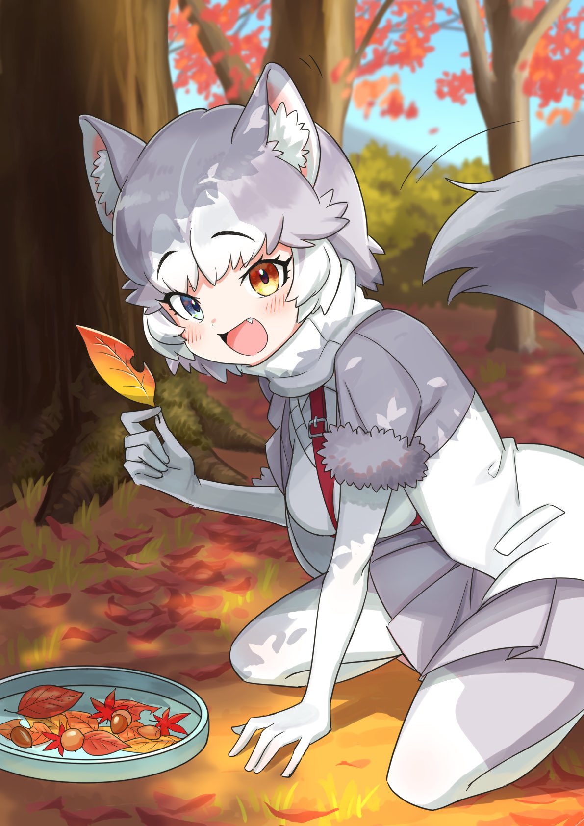 1girl animal_ears autumn_leaves blue_eyes blush chestnut commentary_request dog_(mixed_breed)_(kemono_friends) dog_ears dog_girl dog_tail elbow_gloves eyebrows_visible_through_hair fang fur_trim gloves grey_hair grey_jacket grey_legwear grey_skirt harness heterochromia highres jacket kamuraaa_615 kemono_friends kneeling leaf looking_at_viewer multicolored multicolored_clothes multicolored_hair multicolored_legwear open_mouth pantyhose pleated_skirt short_hair skirt solo sweater tail two-tone_coat white_gloves white_hair white_jacket white_legwear white_sweater yellow_eyes