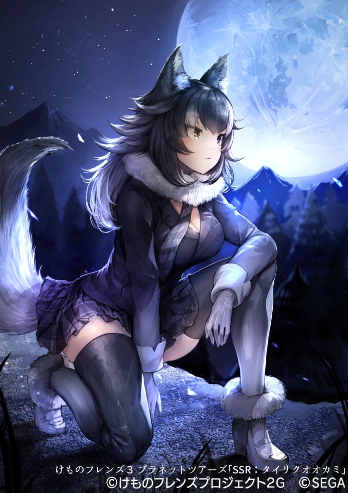 1girl animal_ears blue_eyes boots breasts commentary_request eyebrows_visible_through_hair full_body fur_collar fur_trim gloves gradient gradient_legwear grey_hair grey_jacket grey_legwear grey_wolf_(kemono_friends) heterochromia jacket kemono_friends kemono_friends_3 koruse large_breasts long_hair long_sleeves multicolored multicolored_clothes multicolored_hair multicolored_legwear necktie night night_sky official_art one_knee plaid plaid_neckwear plaid_skirt pleated_skirt skirt sky sleeve_cuffs solo tail thigh-highs white_footwear white_gloves white_hair white_legwear wolf_ears wolf_girl wolf_tail yellow_eyes zettai_ryouiki