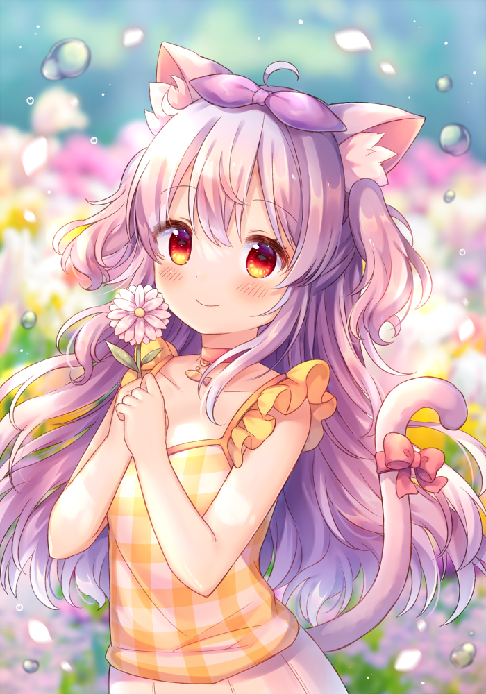 1girl ahoge animal_ear_fluff animal_ears bangs bare_arms bare_shoulders blurry blurry_background blush bow camisole cat_ears cat_girl cat_tail choker closed_mouth collarbone commentary_request depth_of_field eyebrows_visible_through_hair flower hair_between_eyes hair_ribbon hands_up holding holding_flower long_hair looking_at_viewer original pjrmhm_coa plaid pleated_skirt purple_hair purple_ribbon red_bow red_choker red_eyes ribbon skirt smile solo tail tail_bow tail_raised two_side_up very_long_hair water_drop white_flower white_skirt