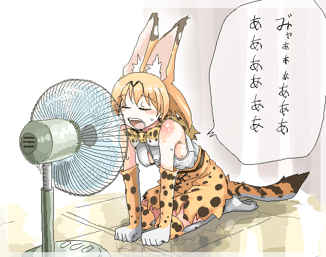 1girl animal_ears bare_shoulders belt bow bowtie closed_eyes commentary_request elbow_gloves electric_fan extra_ears eyebrows_visible_through_hair fan fan_speaking fang fanning_face fanning_self full_body gloves high-waist_skirt i_love_serval kemono_friends kneehighs leaning_forward medium_hair oekaki open_mouth orange_hair print_bow print_gloves print_legwear print_neckwear print_skirt reflection reflective_floor seiza serval_(kemono_friends) serval_ears serval_print serval_tail shirt sitting skirt sleeveless sleeveless_shirt solo sweat tail