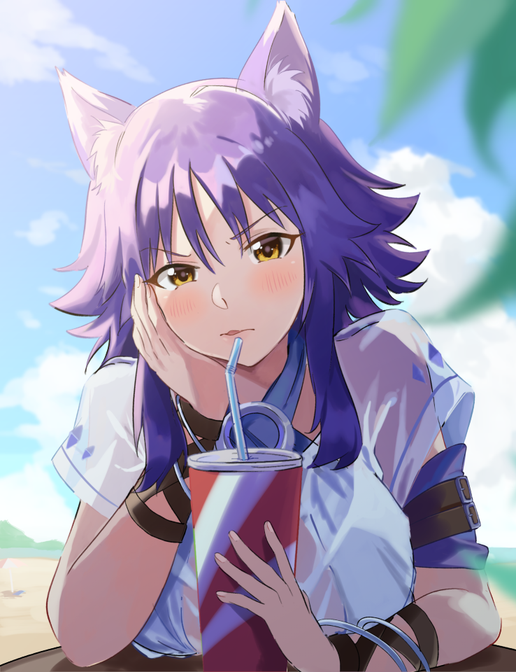 1girl animal_ears bikini blue_bikini blue_hair blue_sky blush bracelet breast_rest breasts brown_eyes day drinking drinking_straw eyebrows_visible_through_hair hair_between_eyes halter_top halterneck jewelry large_breasts looking_at_viewer makoto_(princess_connect!) medium_hair messy_hair outdoors parted_lips princess_connect! princess_connect!_re:dive see-through shirt sky solo swimsuit upper_body wet wet_clothes wet_shirt white_shirt wolf_ears yamabuki0