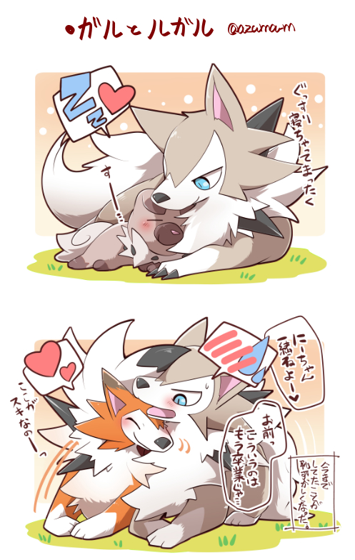 azuma_minatsu blue_eyes blush claws closed_eyes closed_mouth commentary_request gen_7_pokemon grass heart looking_at_another lycanroc lycanroc_(dusk) lycanroc_(midday) no_humans open_mouth paws pokemon pokemon_(creature) rockruff smile speech_bubble tongue translation_request