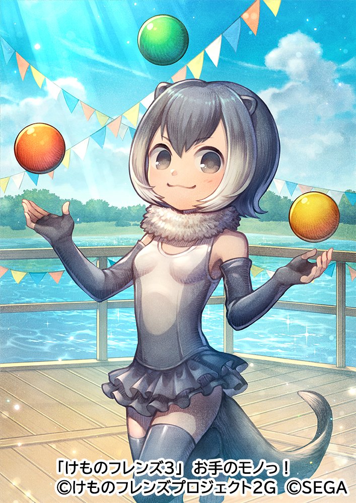 1girl :3 animal_ears ball blush commentary_request cowboy_shot elbow_gloves eyebrows_visible_through_hair fingerless_gloves frilled_swimsuit frills fur_collar gloves grey_gloves grey_hair grey_legwear grey_swimsuit juggling kemono_friends kemono_friends_3 kiitos looking_at_viewer multicolored_hair official_art one-piece_swimsuit otter_ears otter_girl otter_tail short_hair sleeveless small-clawed_otter_(kemono_friends) solo swimsuit tail thigh-highs white_fur white_hair zettai_ryouiki