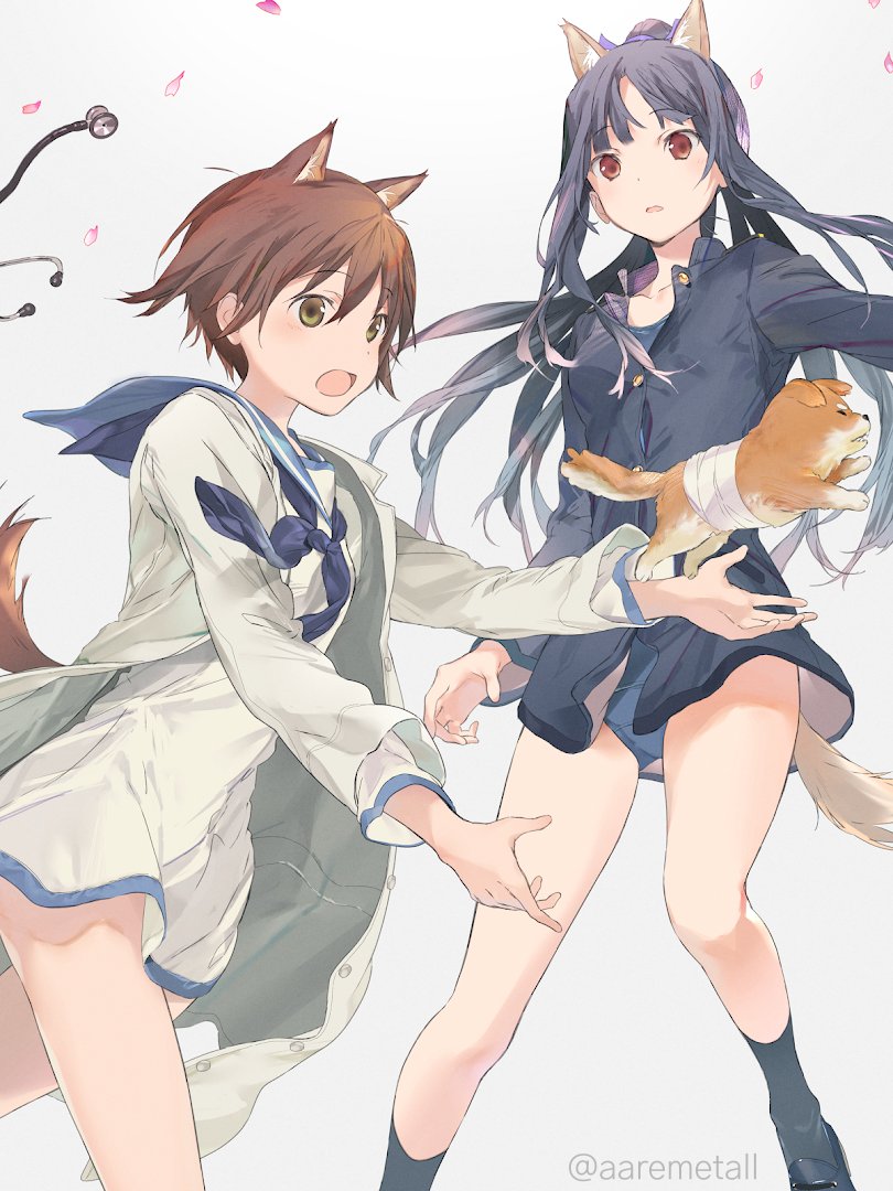 2girls animal_ears bandages black_hair blue_jacket brown_eyes brown_hair commentary_request dog dog_ears dog_tail dress hattori_shizuka jacket miyafuji_yoshika multiple_girls open_mouth petals ponytail red_eyes sailor_dress school_swimsuit shiba_inu stethoscope strike_witches swimsuit swimsuit_under_clothes tail twitter_username world_witches_series wss_(32656138)