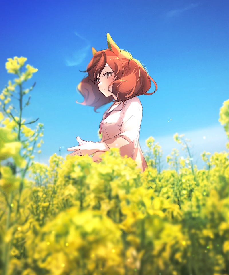 1girl :o animal_ears bangs blue_sky blurry blurry_background blurry_foreground breasts brown_eyes brown_hair clouds collared_shirt day depth_of_field field flower flower_field horse_ears looking_away nice_nature_(umamusume) ouri_(aya_pine) outdoors parted_lips shirt sky small_breasts solo twintails umamusume upper_body white_shirt yellow_flower