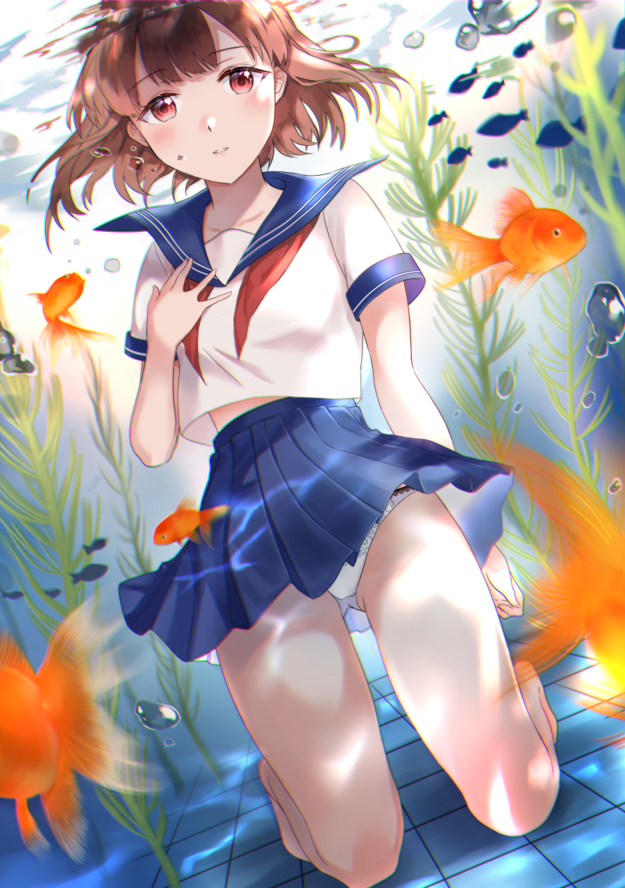 1girl arm_at_side ass_visible_through_thighs bangs bare_legs barefoot blue_sailor_collar blue_skirt brown_hair bubble collarbone commentary_request eyebrows_visible_through_hair fish goldfish hand_on_own_chest highres kneeling looking_at_viewer midriff_peek niwata0 original panties pantyshot parted_lips pleated_skirt red_eyes red_neckwear sailor_collar school_uniform seaweed serafuku shirt short_hair skirt solo submerged thighs underwear uniform white_panties white_shirt