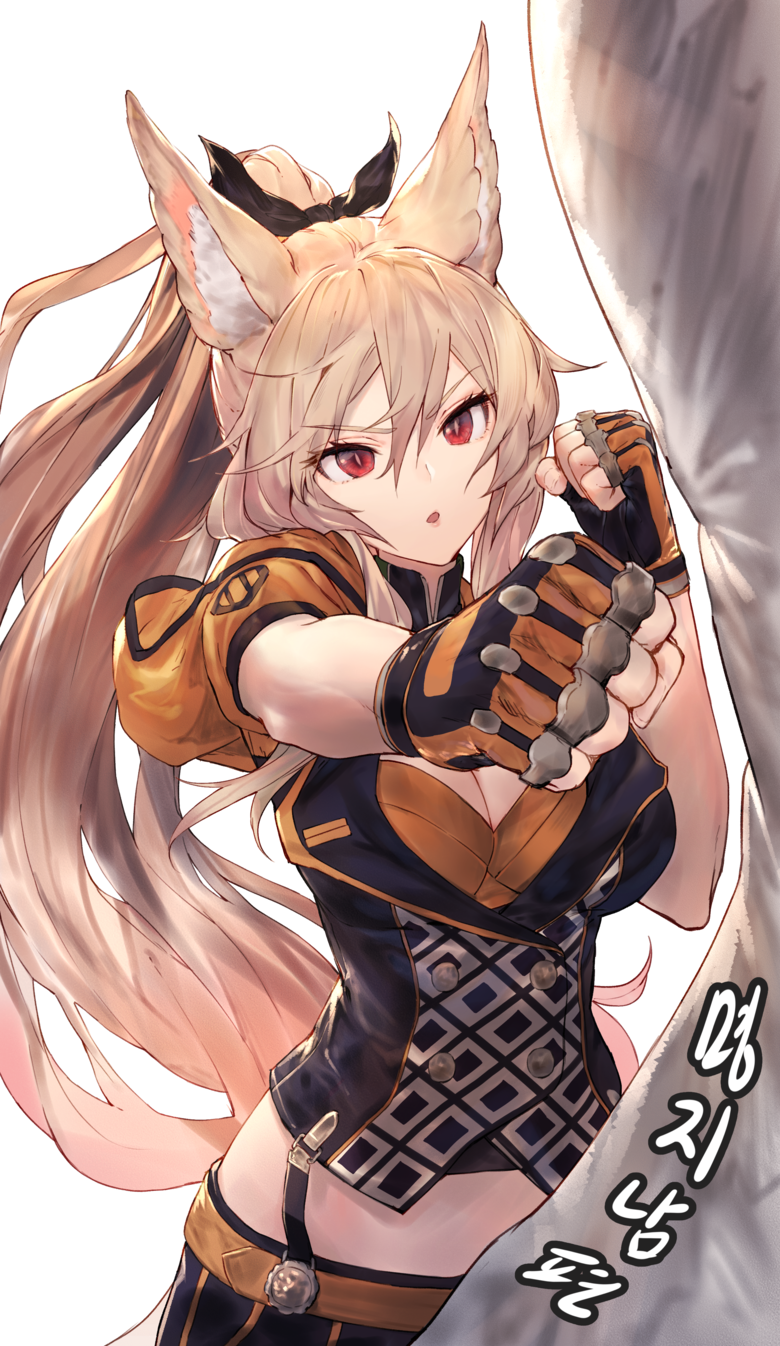 animal_ear_fluff animal_ears bangs blush breasts dungeon_and_fighter eyebrows_visible_through_hair fighter_(dungeon_and_fighter) fox_ears fox_girl hair_between_eyes highres kaiser_(myeonggihusband) long_hair looking_at_viewer open_mouth punching sandbag short_sleeves striker_(dungeon_and_fighter)
