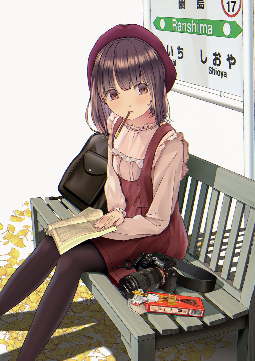 1girl backpack bag bench beret black_legwear book brown_eyes brown_hair camera chikuwa_(odennabe) dress food food_in_mouth frills ginkgo_leaf hat leaf long_sleeves medium_hair original pantyhose pink_shirt pocky pocky_day red_dress red_headwear shadow shirt sign sitting solo white_background