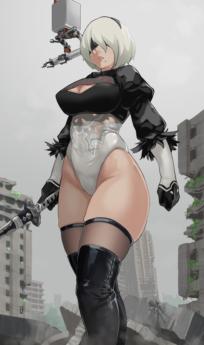 1girl black_blindfold black_footwear black_hairband black_legwear blindfold boots breasts building clothing_cutout covered_eyes feather-trimmed_sleeves grey_sky hairband high_heel_boots high_heels highleg highleg_leotard highres juliet_sleeves large_breasts leotard long_sleeves mole mole_under_mouth nier_(series) nier_automata osagirisu outdoors puffy_sleeves ruins solo thigh-highs thigh_boots thighhighs_under_boots thong_leotard white_hair white_leotard yorha_no._2_type_b