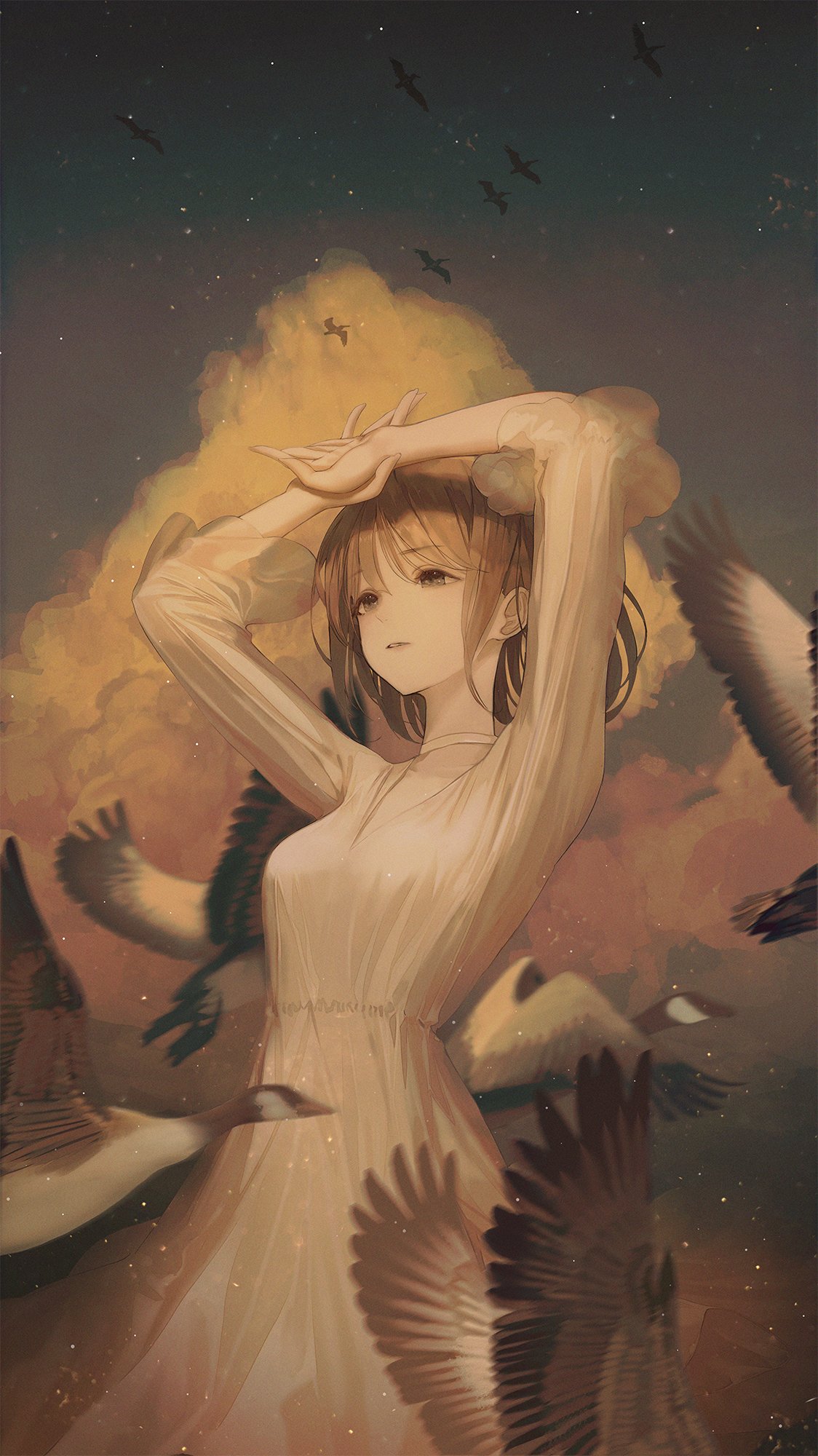 1girl arms_up bird brown_eyes brown_hair choker clouds dress dusk goose highres original own_hands_together seol sky solo white_choker white_dress