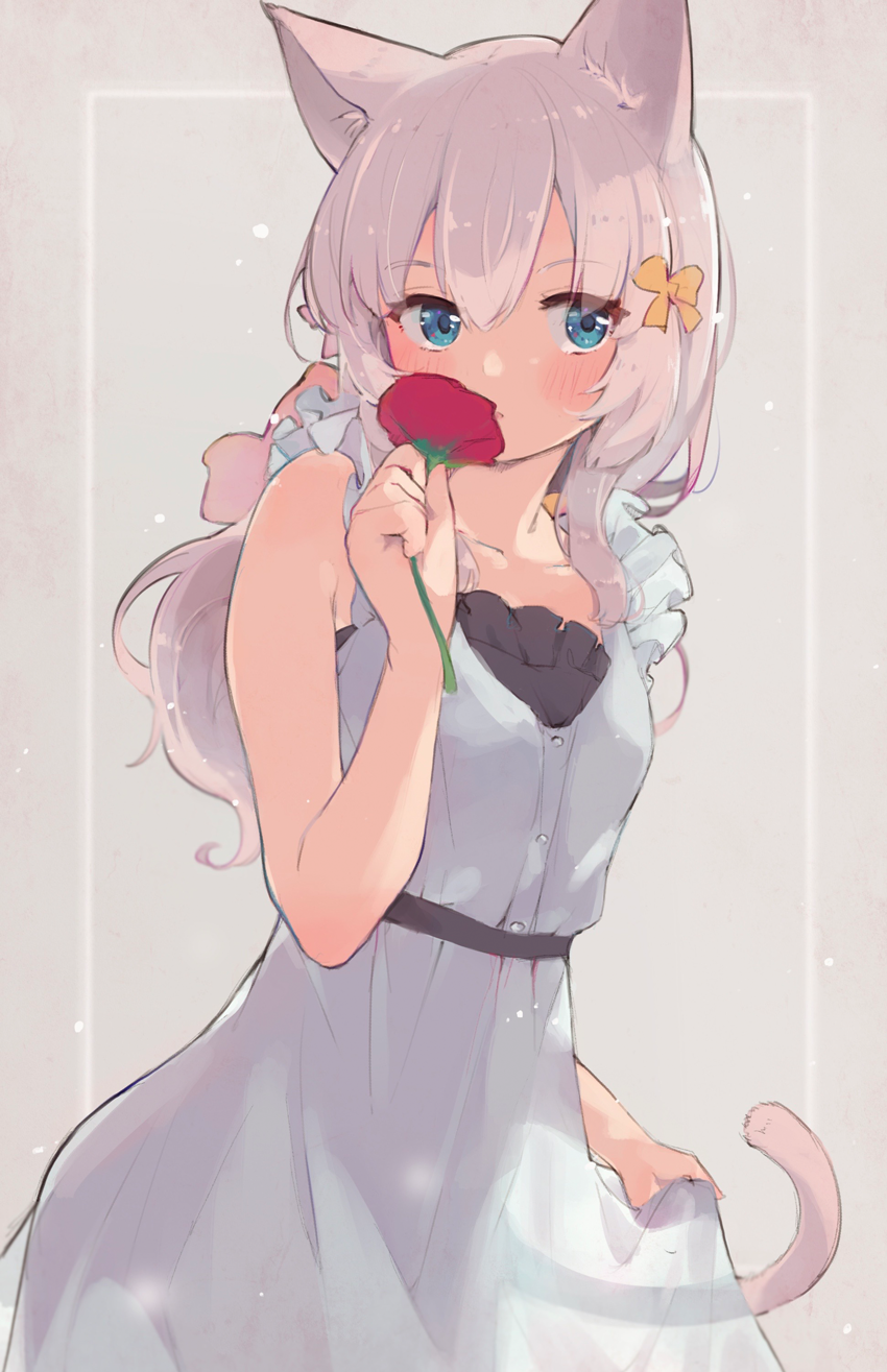 1girl animal_ears blue_eyes cat_ears cat_girl cat_tail dress flower highres holding holding_flower leoharju long_hair original red_flower sleeveless sleeveless_dress smelling smelling_flower solo tail white_dress