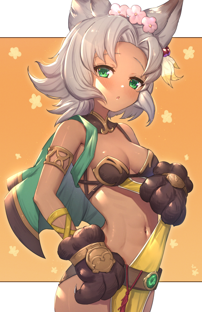 1girl animal_ears bangs bare_shoulders black_gloves blush breasts brown_background cape commentary_request dark_skin erune floral_background flower forehead gloves granblue_fantasy green_cape green_eyes grey_hair hair_flower hair_ornament highres looking_at_viewer medium_breasts melleau navel parted_bangs parted_lips paw_gloves paws pink_flower solo two-tone_background uneg white_background