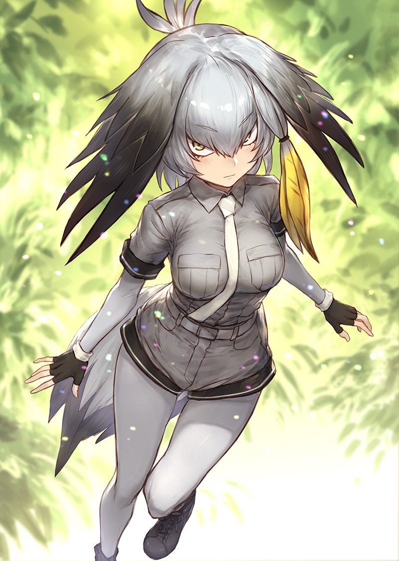 1girl ankle_boots bird_tail black_gloves blush boots closed_mouth collared_shirt cross-laced_footwear eyebrows_visible_through_hair fingerless_gloves gloves grey_footwear grey_hair grey_legwear grey_shirt grey_shorts guchico hair_between_eyes head_wings kemono_friends long_sleeves looking_at_viewer multicolored_hair necktie pantyhose shirt shoebill_(kemono_friends) short_over_long_sleeves short_shorts short_sleeves shorts side_ponytail solo tail white_neckwear wing_collar yellow_eyes