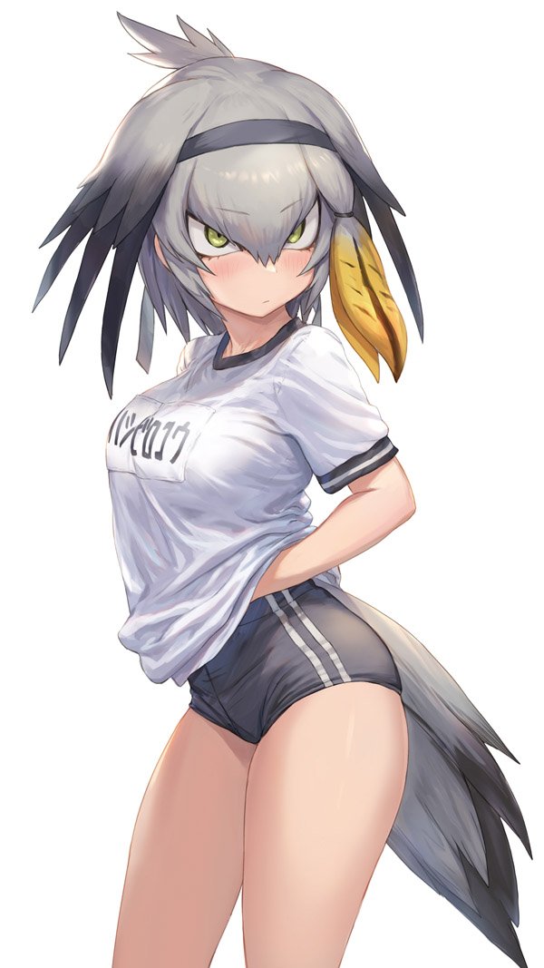 1girl bird_tail black_buruma black_hair blonde_hair blush breasts buruma closed_mouth commentary_request cowboy_shot eyebrows_visible_through_hair from_side green_eyes grey_hair guchico gym_uniform hair_between_eyes hair_intakes hairband hand_under_clothes hand_under_shirt kemono_friends looking_at_viewer multicolored_hair name_tag shirt shoebill_(kemono_friends) short_hair short_sleeves signature simple_background solo tail thighs translated white_background white_shirt