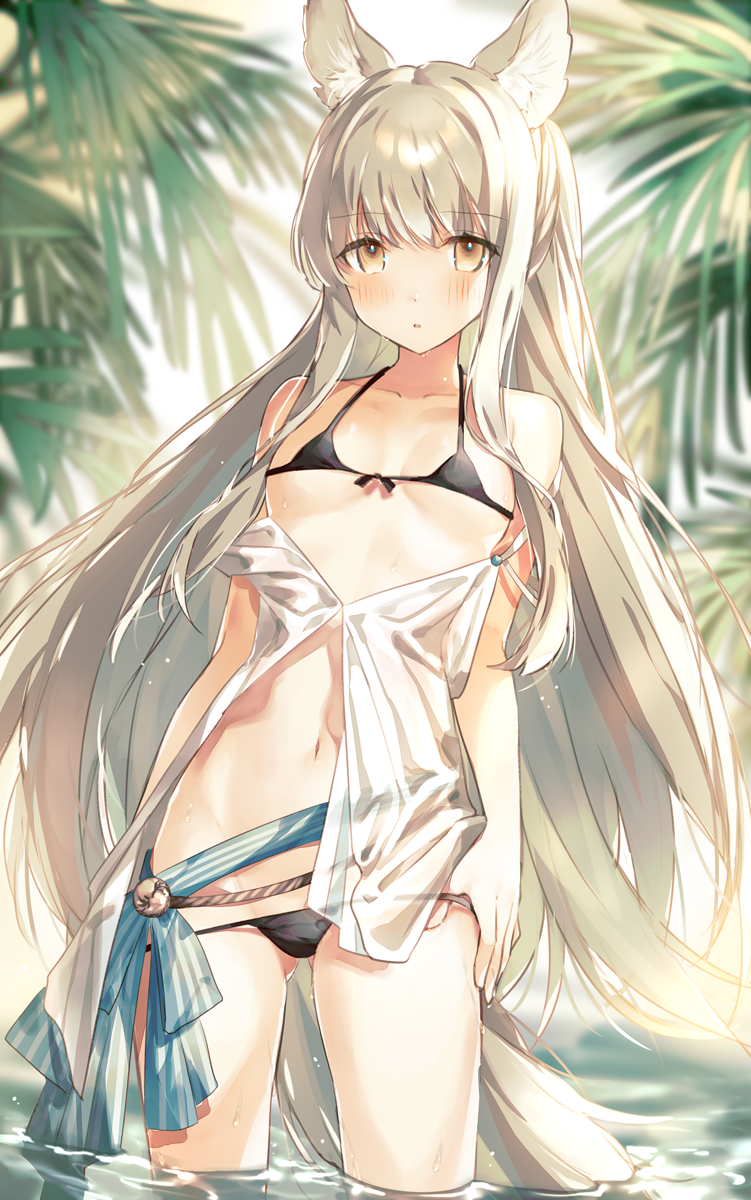 1girl animal_ear_fluff animal_ears arknights ass_visible_through_thighs bangs bare_shoulders beach bikini bikini_bottom_pull black_bikini blush breasts commentary_request cowboy_shot en_(shisui_no_utage) eyebrows eyebrows_visible_through_hair front-tie_bikini front-tie_top highres horse_ears horse_tail light_rays long_hair looking_at_viewer micro_bikini midriff navel off_shoulder outdoors palm_tree parted_lips plant platinum_(arknights) platinum_blonde_hair pulled_by_self sash see-through shirt sidelocks silver_hair small_breasts solo standing swimsuit tail thighs tree very_long_hair wading water white_shirt yellow_eyes