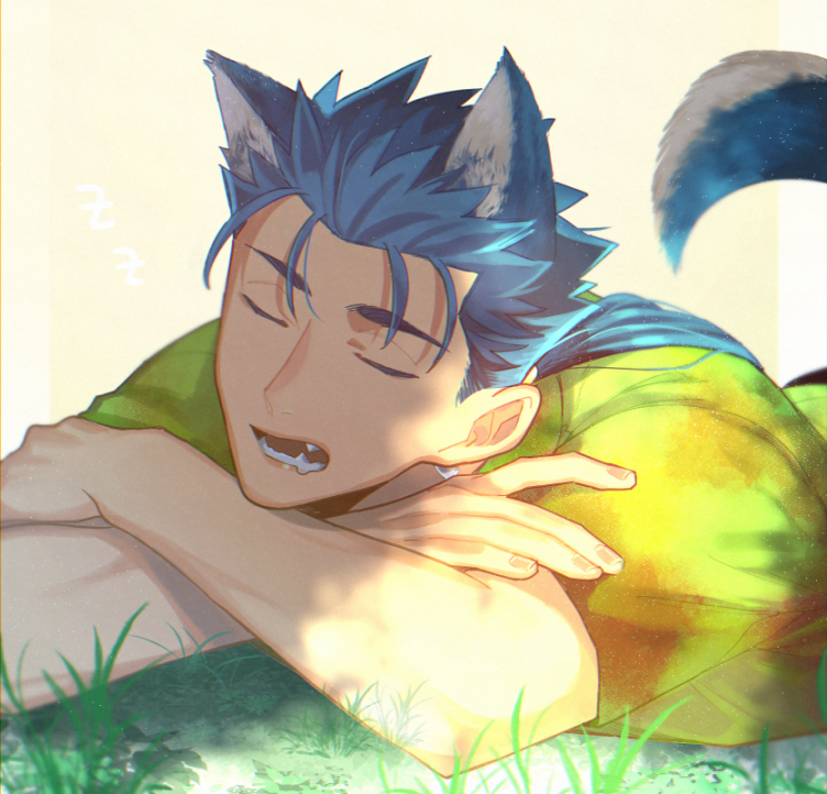 1boy alternate_costume animal_ears blue_hair closed_eyes crossed_arms cu_chulainn_(fate)_(all) dog_ears dog_tail fangs fate/stay_night fate_(series) grass kystktstura lancer long_hair male_focus open_mouth ponytail simple_background sleeping solo spiky_hair tail