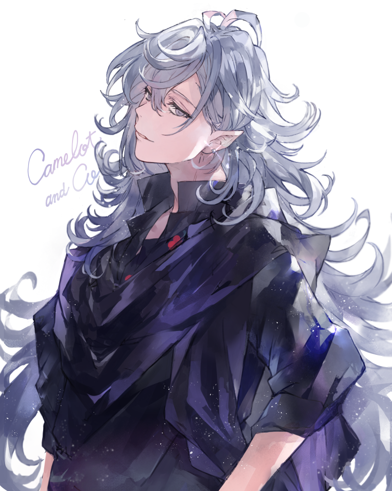 1boy black_shirt earrings fate/grand_order fate_(series) from_side glint grey_eyes grey_hair jewelry long_hair long_sleeves looking_at_viewer looking_to_the_side male_focus merlin_(fate) parted_lips pointy_ears purple_robe shirt smile solo very_long_hair waltz_(tram)