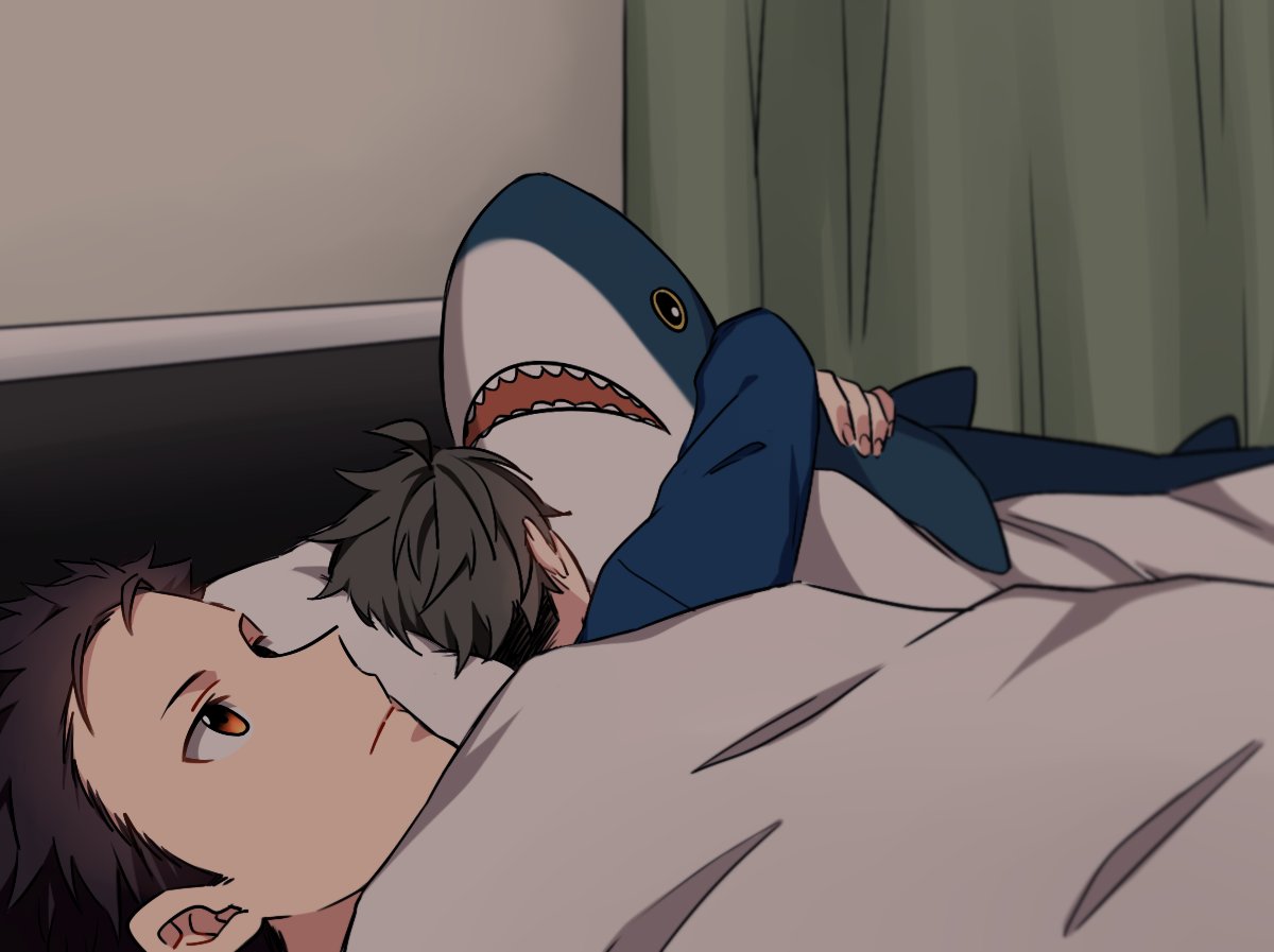 2boys 500_dollar_four_foot_tall_mareep akuno_hideo bed blanket blue_shirt brown_hair curtains idolmaster idolmaster_side-m ikea_shark kimura_ryuu long_sleeves male_focus meme multiple_boys object_hug piop red_eyes shirt stuffed_animal stuffed_shark stuffed_toy under_covers