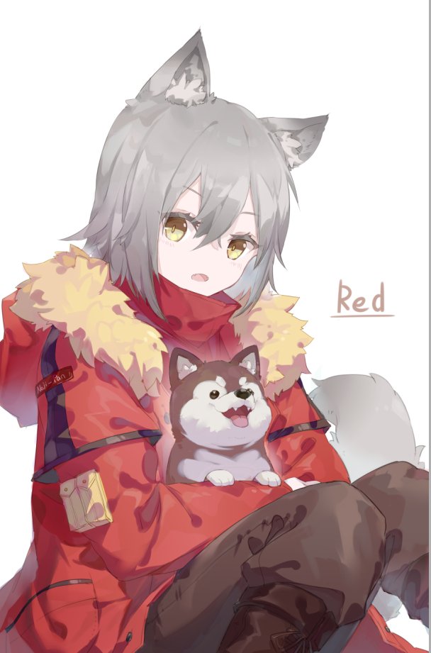 1girl animal animal_ears arknights boots brown_footwear brown_pants character_name dog fang feet_out_of_frame fur-trimmed_jacket fur_trim grey_hair holding holding_animal holding_dog jacket knees_up looking_at_viewer nejikyuu open_mouth pants projekt_red_(arknights) red_jacket short_hair simple_background sitting solo tail white_background wolf_ears wolf_tail yellow_eyes
