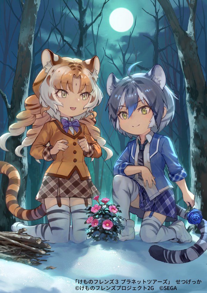 animal_ears animal_print aureolin31 blonde_hair blue_flower blue_hair blue_jacket blue_neckwear blue_rose blue_skirt bow bowtie collared_shirt commentary_request curly_hair extra_ears eyebrows_visible_through_hair flower forest full_moon garter_straps golden_tabby_tiger_(kemono_friends) jacket kemono_friends kemono_friends_3:_planet_tours kneeling light_brown_hair long_sleeves maltese_tiger_(kemono_friends) moon multicolored_hair nature night night_sky official_art open_clothes open_jacket plaid plaid_skirt plaid_trim pleated_skirt print_legwear rose shirt short_hair skirt sky snow tail thigh-highs tiger_ears tiger_girl tiger_print tiger_tail white_hair white_shirt yellow_eyes yellow_jacket