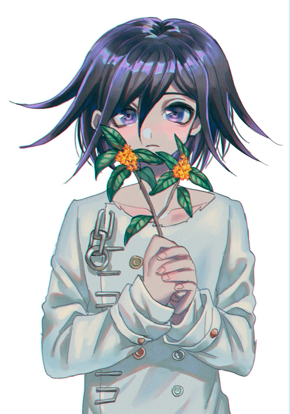 1boy bangs black_hair blush closed_mouth collarbone dangan_ronpa_(series) dangan_ronpa_v3:_killing_harmony double-breasted flower frown hair_between_eyes hands_clasped highres holding holding_flower long_sleeves looking_at_viewer male_focus multicolored_hair ouma_kokichi own_hands_together red_flower shiny shiny_hair short_hair simple_background smile solo straitjacket striped tei_(auntaso) upper_body white_background