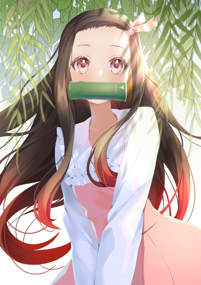 1girl bamboo bit_gag black_hair brown_hair collared_shirt commentary_request dress forehead frilled_dress frilled_shirt_collar frills gag gradient_hair hair_ribbon kamado_nezuko kimetsu_no_yaiba long_hair long_sleeves looking_at_viewer moi_(latte_art) mouth_hold multicolored_hair pink_dress pink_ribbon plant purple_hair ribbon shirt solo strapless strapless_dress very_long_hair white_shirt