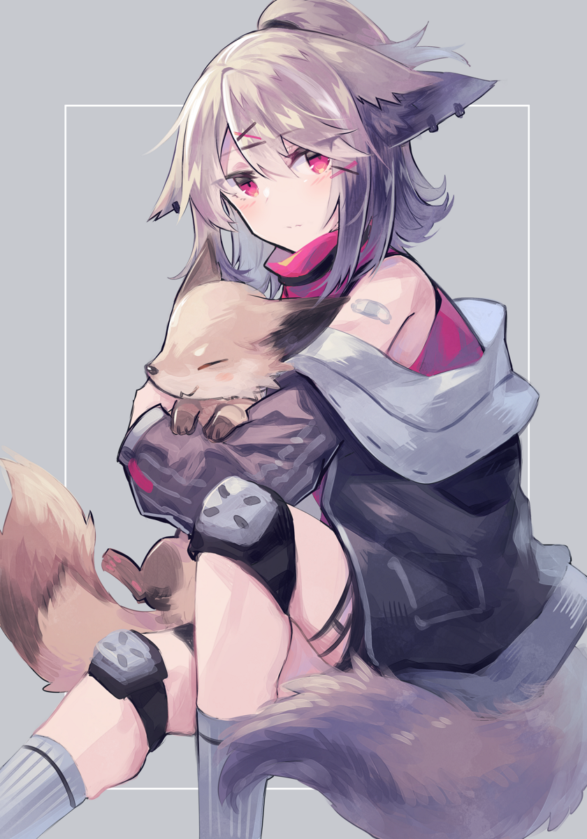 1girl animal animal_ears arknights bandaid bandaid_on_shoulder bangs black_jacket commentary_request cutter_(arknights) floppy_ears fox fox_ears fox_girl fox_tail grey_hair hair_ornament half_updo highres holding holding_animal jacket knee_pads long_sleeves looking_at_viewer off_shoulder open_clothes open_jacket red_eyes red_shirt sasa_onigiri shirt short_hair sleeveless sleeveless_shirt solo tail x_hair_ornament
