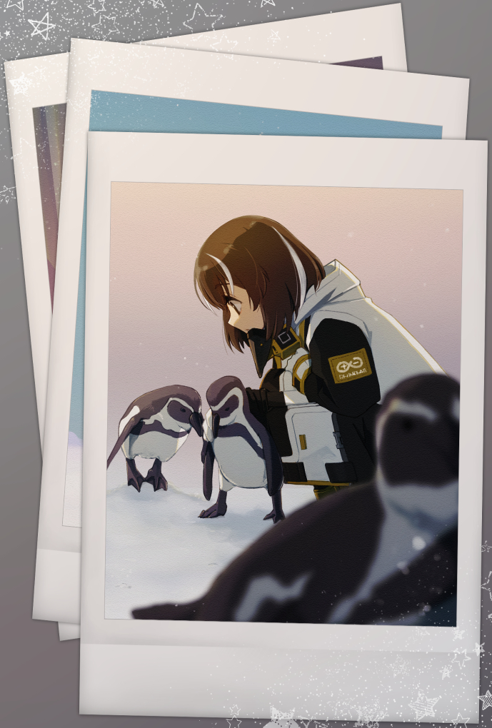 1girl :o animal arknights beak_mask bird brown_hair coat commentary_request eyebrows_visible_through_hair gloves holding holding_animal holding_bird magallan_(arknights) mask_around_neck multicolored_hair nekomdr outdoors penguin photo_(object) rhine_lab_logo short_hair silver_hair snow solo strap streaked_hair two-tone_hair upper_body white_coat white_gloves winter_clothes yellow_eyes