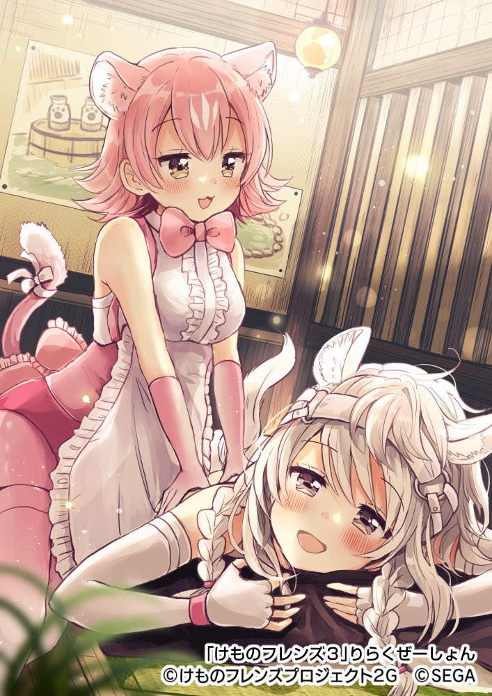 2girls animal_ears apron back_bow bare_shoulders blush bow bowtie braid commentary_request elbow_gloves extra_ears fingerless_gloves gloves headgear horse_ears horse_girl horse_tail kemono_friends kemono_friends_3 long_hair massage multiple_girls official_art panther_ears panther_girl panther_tail pantyhose peach_panther_(kemono_friends) pink_gloves pink_hair pink_legwear pink_neckwear sakura_oriko short_hair sleeveless tail tail_bow tail_ornament white_apron white_gloves white_hair white_thoroughbred_(kemono_friends) yellow_eyes