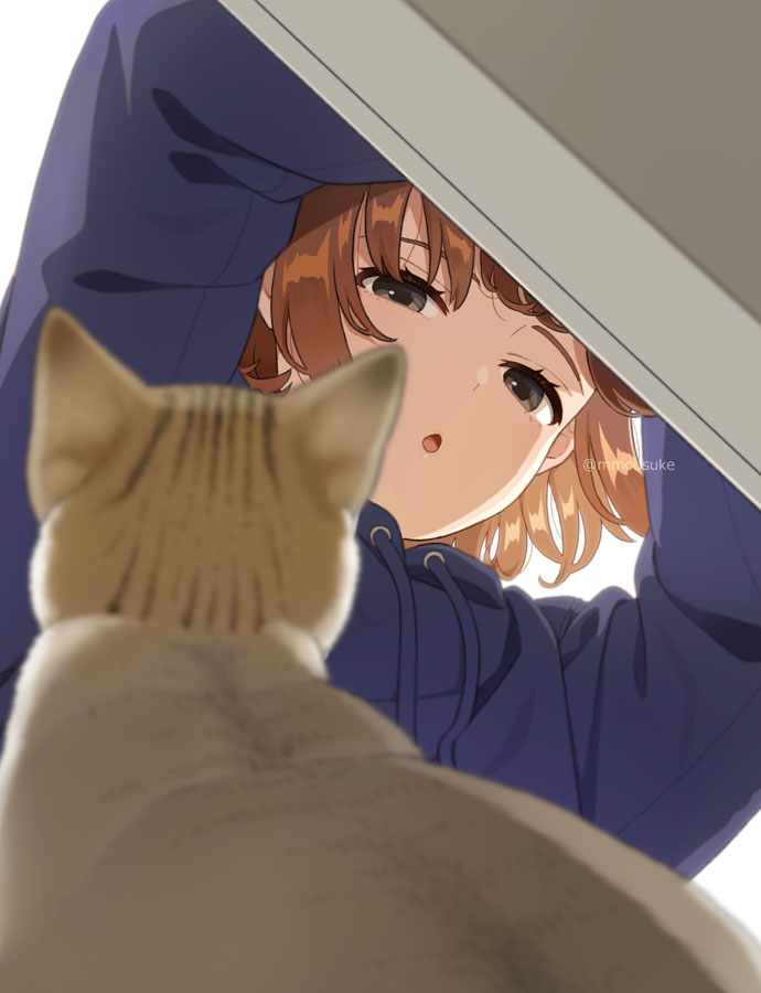 1girl :o animal bangs blue_hoodie blurry blurry_foreground brown_eyes brown_hair cat depth_of_field drawstring eyebrows_behind_hair half-closed_eyes hood hood_down hoodie mattaku_mousuke original parted_lips simple_background solo twitter_username upper_body white_background