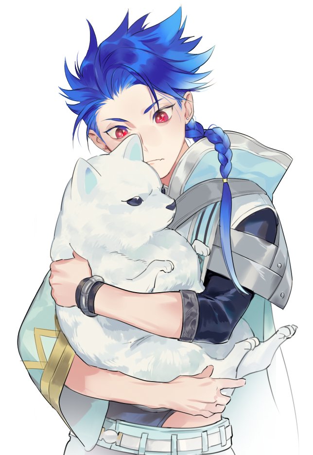 1boy 1other angry animal asymmetrical_bangs asymmetrical_clothes bangs belt blue_hair braid braided_ponytail capelet child closed_mouth cu_chulainn_(fate)_(all) dog earrings fang fate/grand_order fate/grand_order_arcade fate_(series) holding holding_animal jewelry k29 long_hair looking_down male_focus popped_collar puppy red_eyes setanta_(fate) simple_background skin_fang white_background