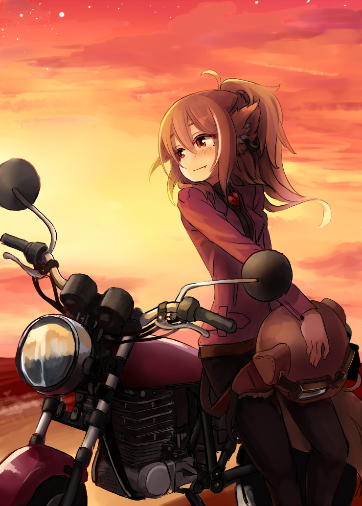 159cm 1girl animal_ears blush brown_hair brown_pants closed_mouth fang fang_out ground_vehicle headwear_removed helmet helmet_removed holding holding_helmet jacket long_sleeves motor_vehicle motorcycle original outdoors pants ponytail red_eyes red_jacket red_sky sky smile solo wine-chan_(159cm)