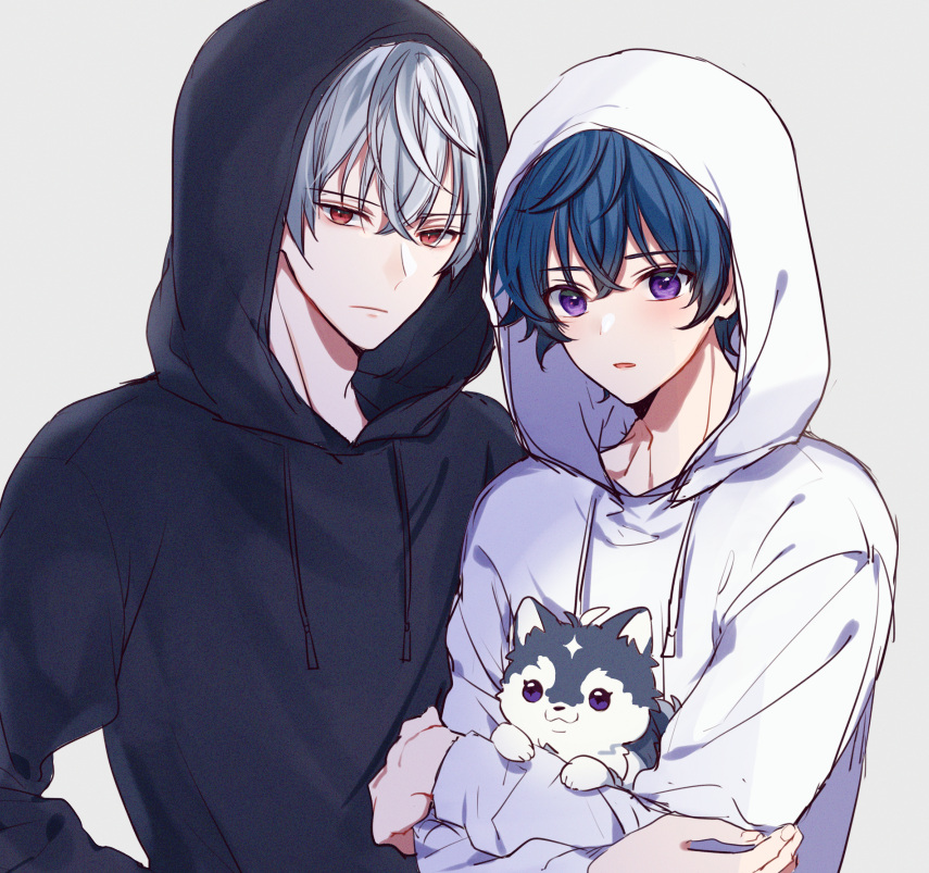 2boys animal argonavis_from_bang_dream! asahi_nayuta bang_dream! black_hoodie blue_hair dog drawstring holding holding_animal hood hoodie male_focus mizukikushou multiple_boys nanahoshi_ren pon-chan_(argonavis) puppy red_eyes simple_background violet_eyes white_background white_hair white_hoodie