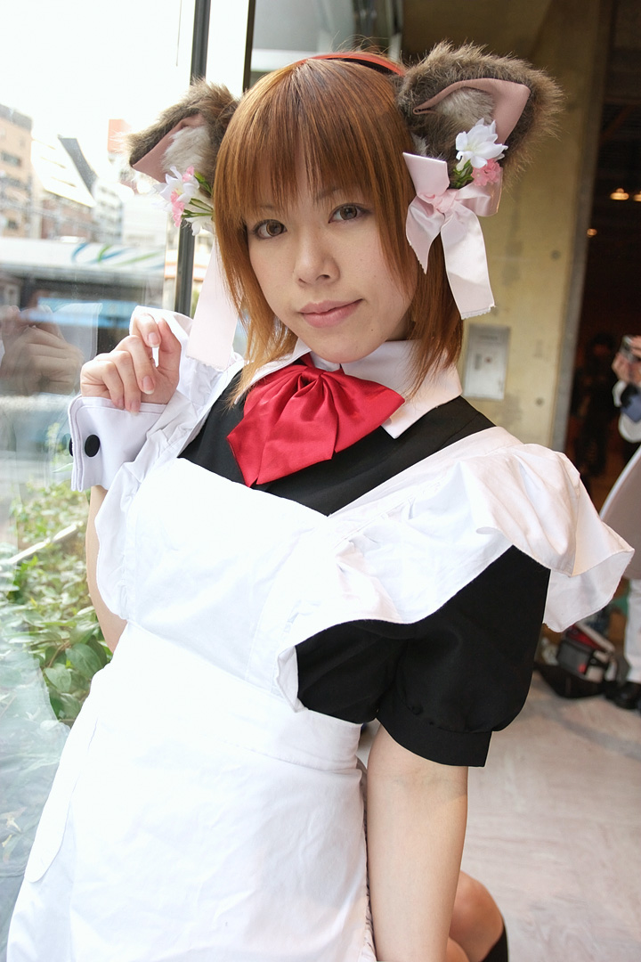 animal_ears apron cat_ears cosplay hair_ribbons maid maid_uniform photo suzuka_sha_yumi