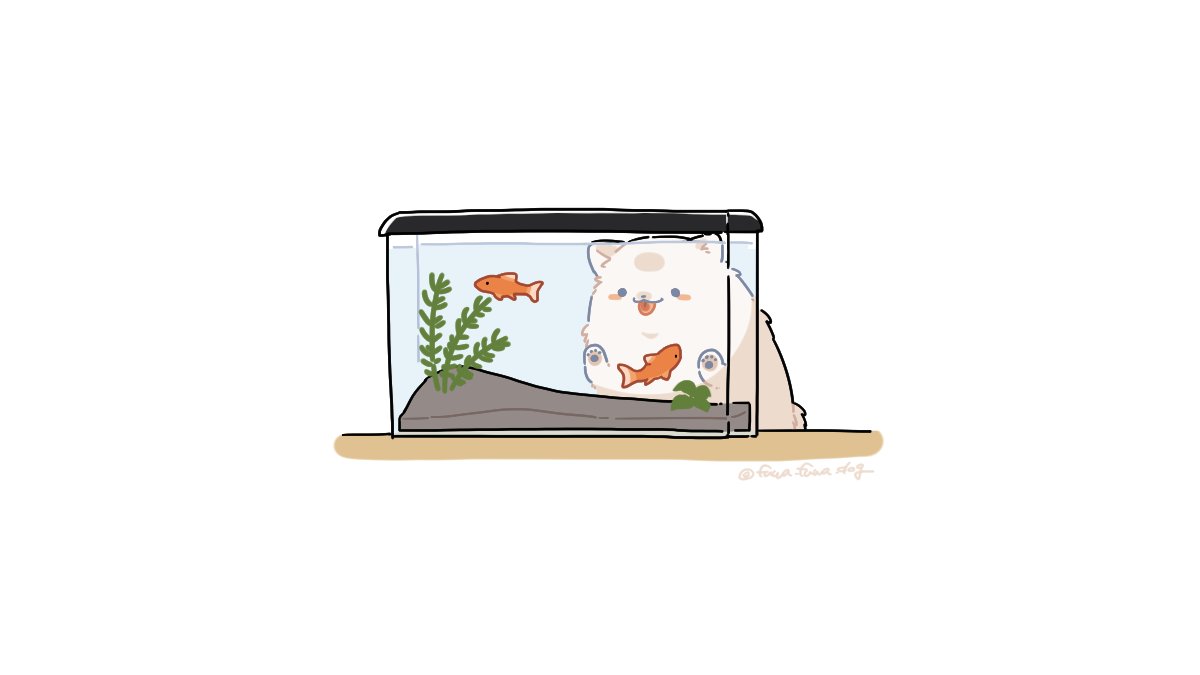:3 against_glass animal animal_focus artist_name black_eyes blush_stickers closed_mouth dog fish fish_tank fluffy fuwa_fuwa_dog no_humans original simple_background solid_circle_eyes tongue tongue_out twitter_username white_background