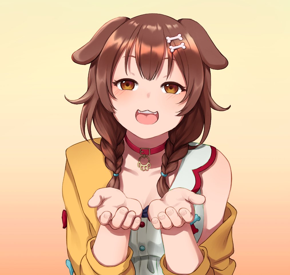 1girl :3 animal_collar animal_ears bare_shoulders bluepoodlez bone_hair_ornament braid breasts brown_eyes brown_hair collar collarbone cupping_hands dog_ears dog_girl hair_between_eyes hair_ornament happy hololive inugami_korone jacket long_hair looking_at_viewer low_twin_braids off_shoulder open_mouth outstretched_arms red_collar simple_background twin_braids upper_body virtual_youtuber yellow_jacket