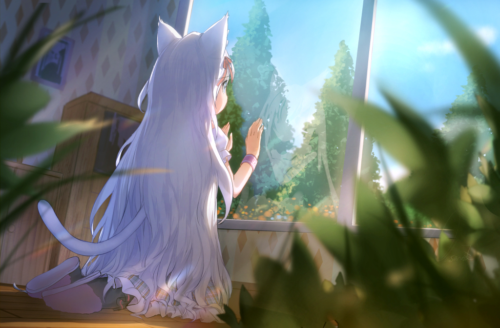 1girl animal_ears blue_sky blurry blurry_foreground bracelet cat_ears cat_tail day facing_away from_behind hair_ribbon indoors jewelry long_hair observerz original ribbon sky slippers solo tail very_long_hair white_hair window