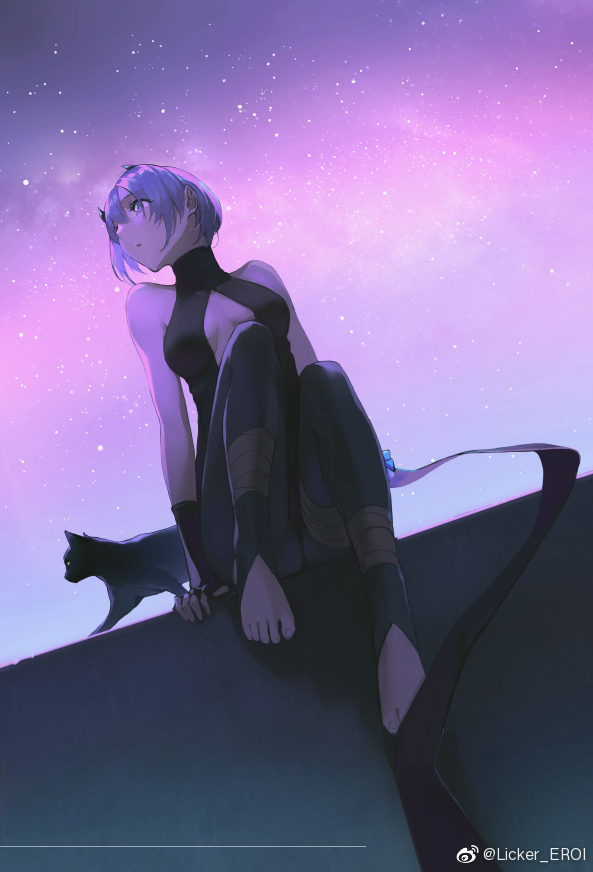 1girl animal bad_id bad_link bare_shoulders barefoot belt black_cat black_headwear black_legwear breasts cat center_opening dark_skin dark-skinned_female fate/grand_order fate_(series) feet hassan_of_serenity_(fate) looking_to_the_side night night_sky purple_hair reroi short_hair sitting sky star_(sky) violet_eyes watermark