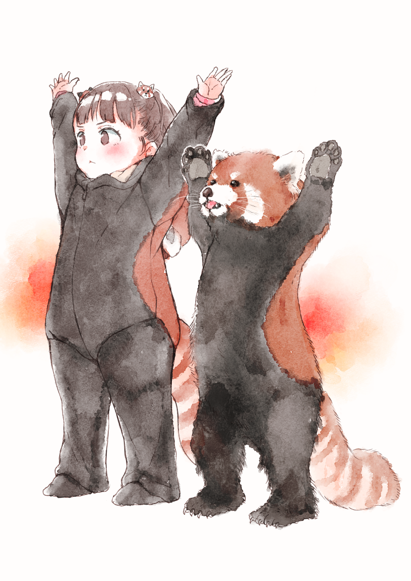 1girl :&lt; animal arms_up blush brown_background brown_eyes brown_hair closed_mouth commentary_request gomennasai hair_ornament long_sleeves looking_away original red_panda red_panda_costume red_panda_tail sleeves_past_wrists solo standing striped_tail tail