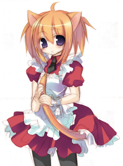 cat_ears maid pantyhose sazaki_ichiri tail