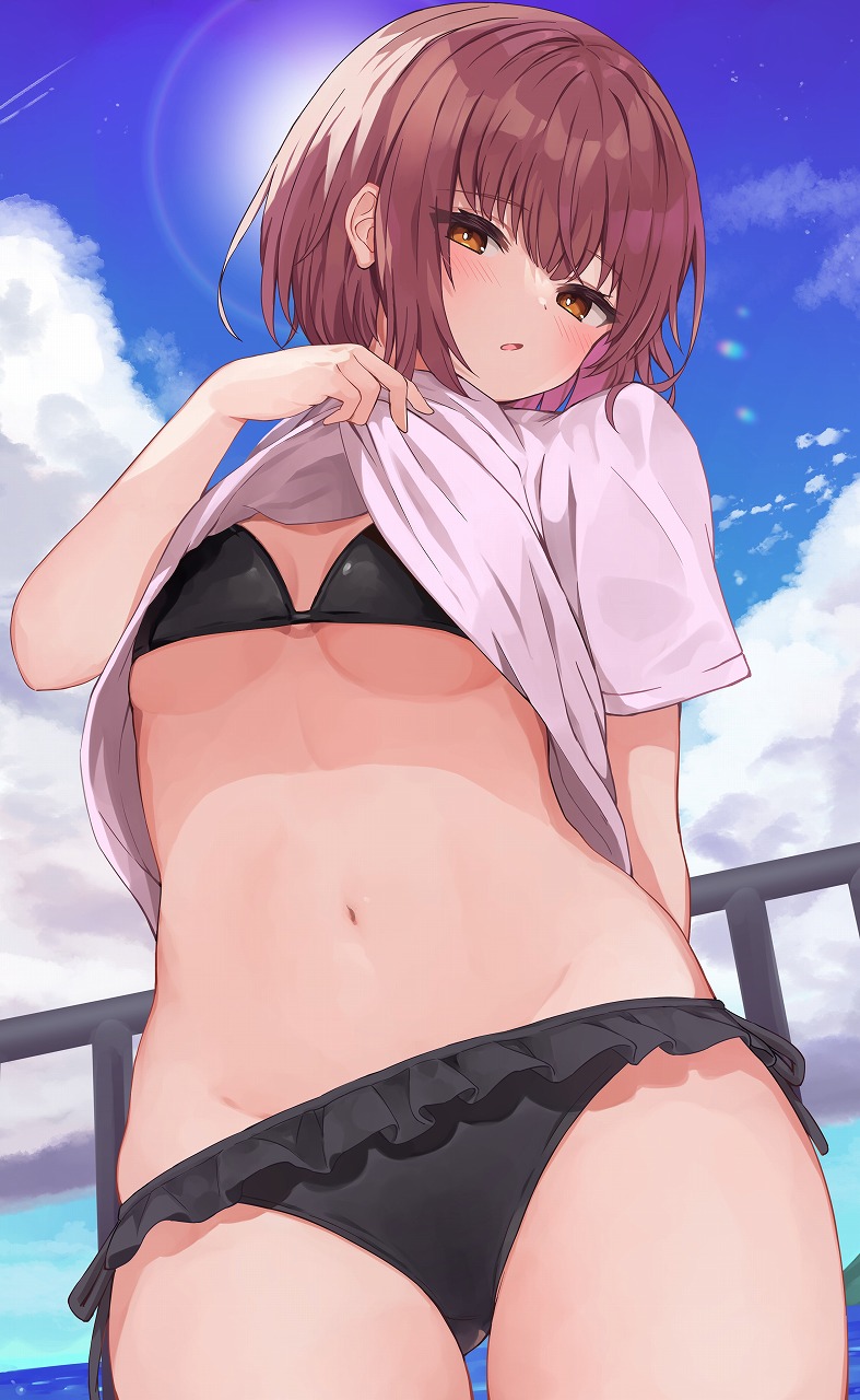 1girl ass_visible_through_thighs bangs bikini black_bikini blue_sky blush breasts brown_eyes brown_hair clouds cloudy_sky commentary_request cowboy_shot day eyebrows_visible_through_hair frilled_bikini frills groin highres lifted_by_self looking_at_viewer navel original outdoors parted_lips racchi. railing shirt shirt_lift short_sleeves side-tie_bikini sky small_breasts solo sun swimsuit water white_shirt