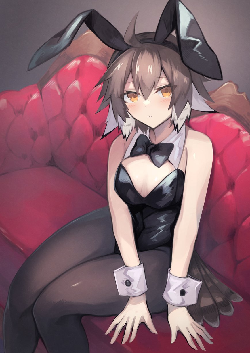 1girl alternate_costume animal_ears arknights bare_shoulders black_leotard black_neckwear brown_hair chaise_longue couch detached_collar eyebrows_visible_through_hair fake_animal_ears feet_out_of_frame hair_between_eyes highres leotard looking_at_viewer multicolored_hair on_couch open_mouth orange_eyes pantyhose playboy_bunny plume_(arknights) rabbit_ears sasa_onigiri short_hair sitting solo strapless strapless_leotard white_hair wing_collar wrist_cuffs