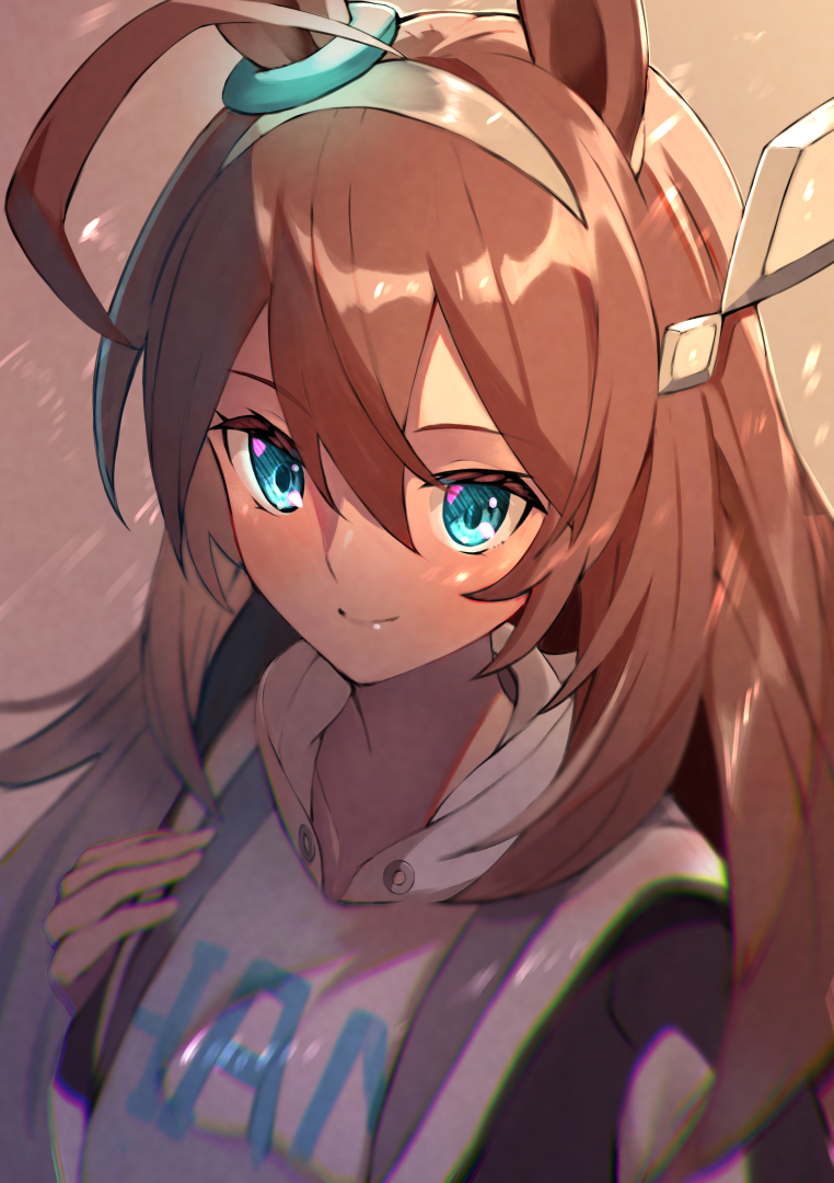 1girl ahoge animal_ears aqua_eyes blush brown_hair closed_mouth clothes_writing collarbone grey_hairband hair_between_eyes hairband hood hoodie horse_ears horse_girl long_hair looking_at_viewer mihono_bourbon_(umamusume) panda_inu portrait smile solo umamusume white_hoodie